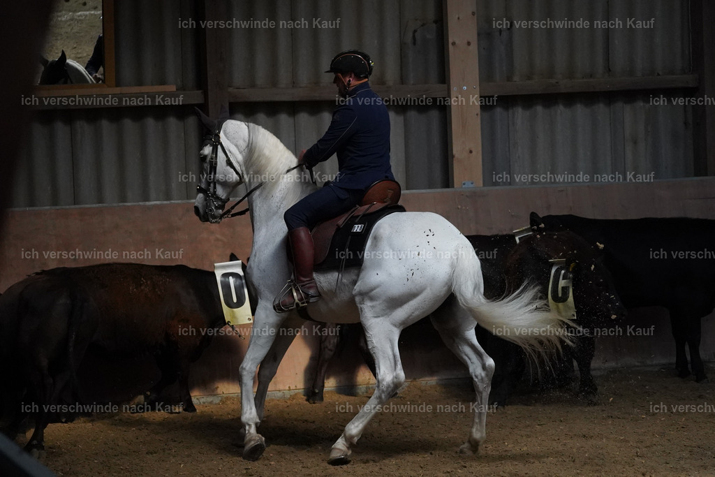 KlasseS_Lucie | working equitationturnier fotograf videograf stoibphotography marixx film working equitation deutschland reitsport turnierfotografie eventfotografie equestrian events