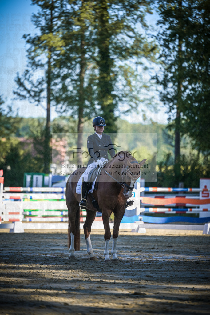 DOS_4055 | Entdecke hochwertige Reitturnierfotos von Foto Oger. Professionell, emotional und authentisch – jetzt Lieblingsmomente im Shop bestellen.Deutschlandweite Turnierfotografie. - Realisiert mit Pictrs.com