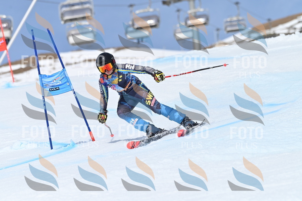 BGV_3120 | holidayphoto