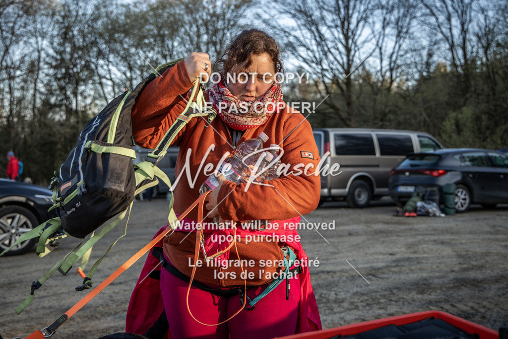 NR__0147-2 | nelerasche
