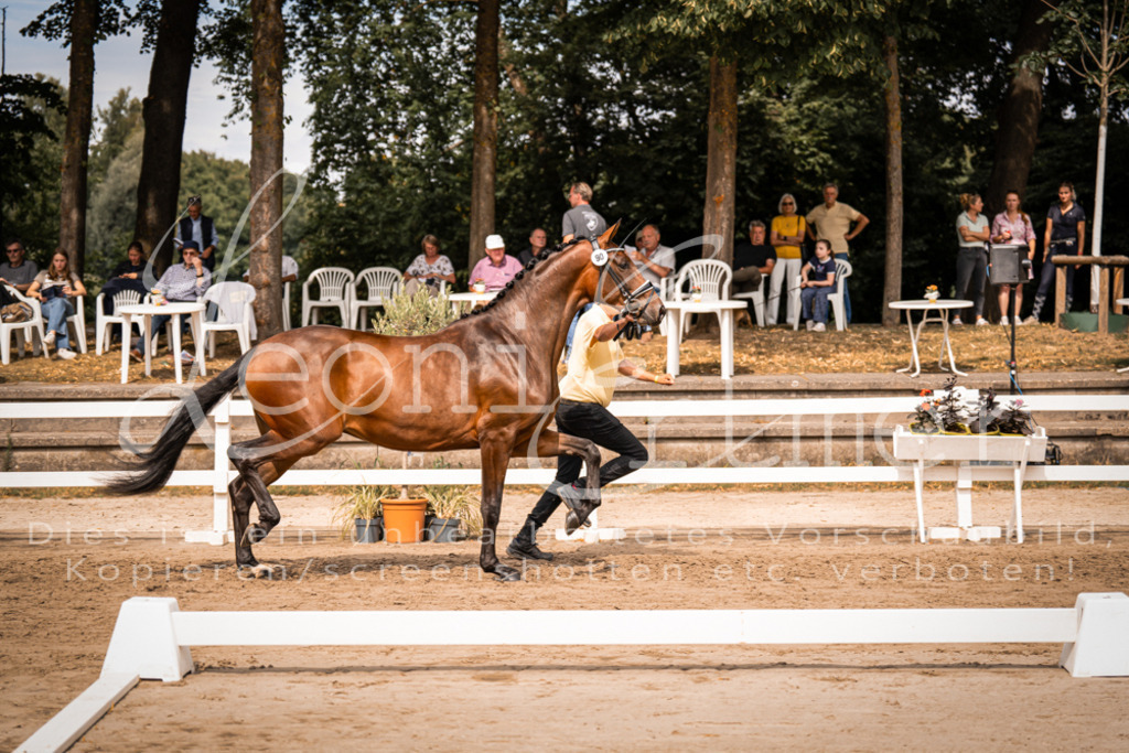 6.Fr00047 | Leoni Ertmer Photography - Realisiert mit Pictrs.com