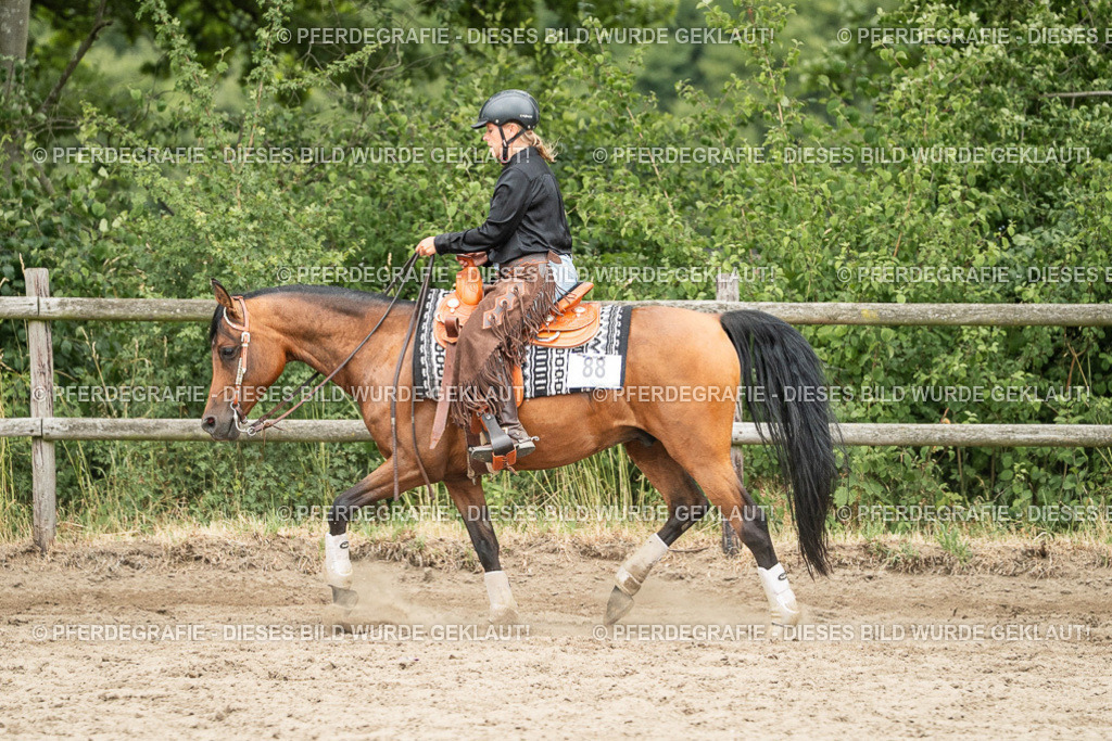 DSC04190 | Pferdegrafie