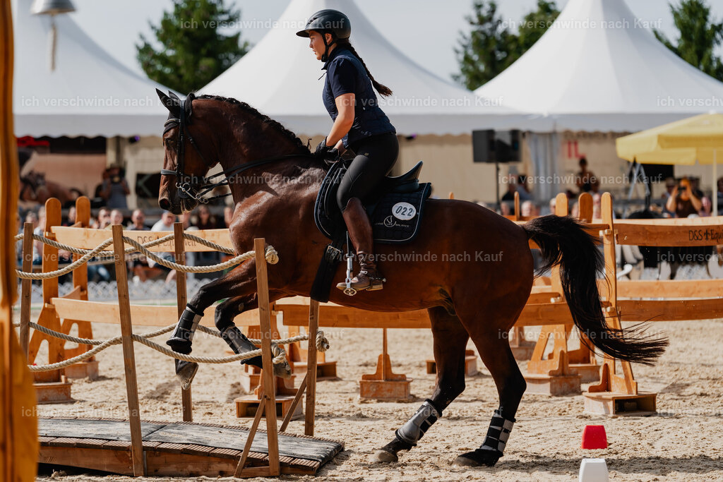 Nadine22_FHC2025-122 | working equitationturnier fotograf videograf stoibphotography marixx film working equitation deutschland reitsport turnierfotografie eventfotografie equestrian events
