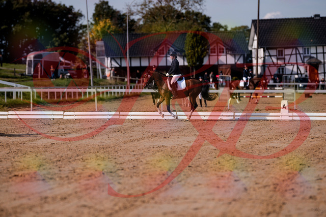 2026_10_03_Siefer-Hof_115612_Z81_96361778 | Professionelle Reitsport-, Turnier- und Eventfotografie von Robert Broda. Galerien mit ausgewählten und bearbeiteten Bildern direkt online ansehen und bestellen.