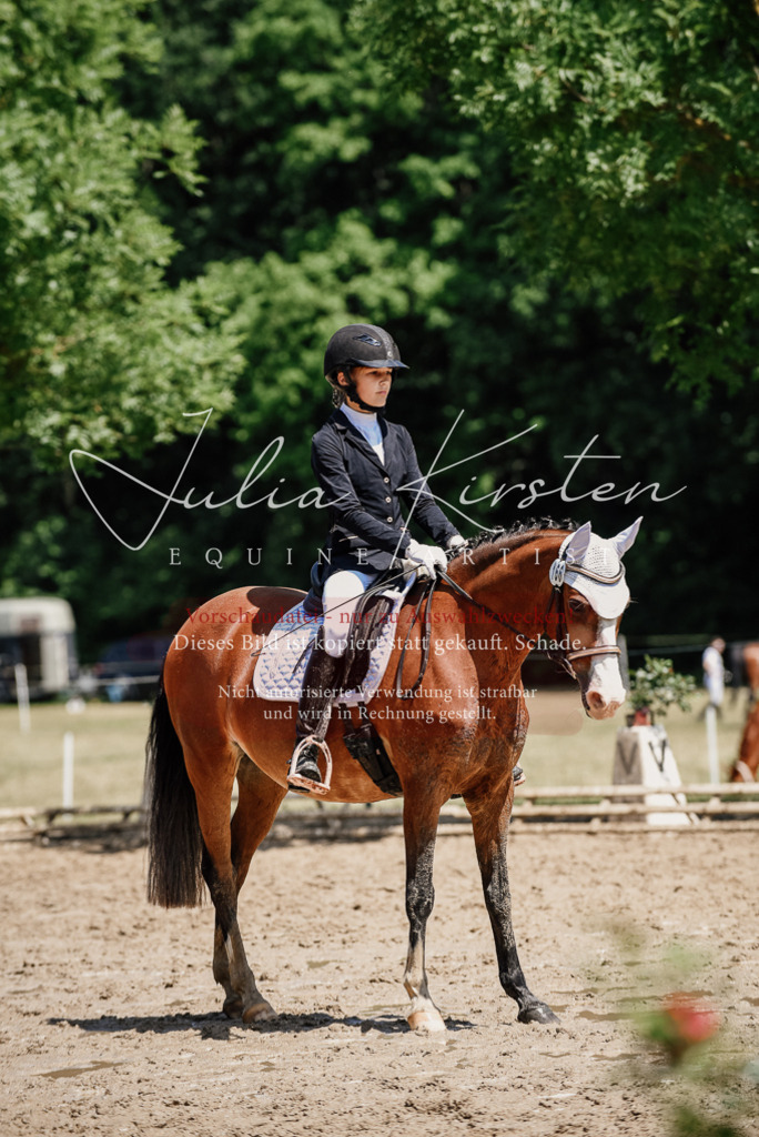 DSC_1913 | Pferde- und Turnierfotografie in Westsachsen. Pferdeportraits, Auftragszeichnungen und intuitive Kunst.