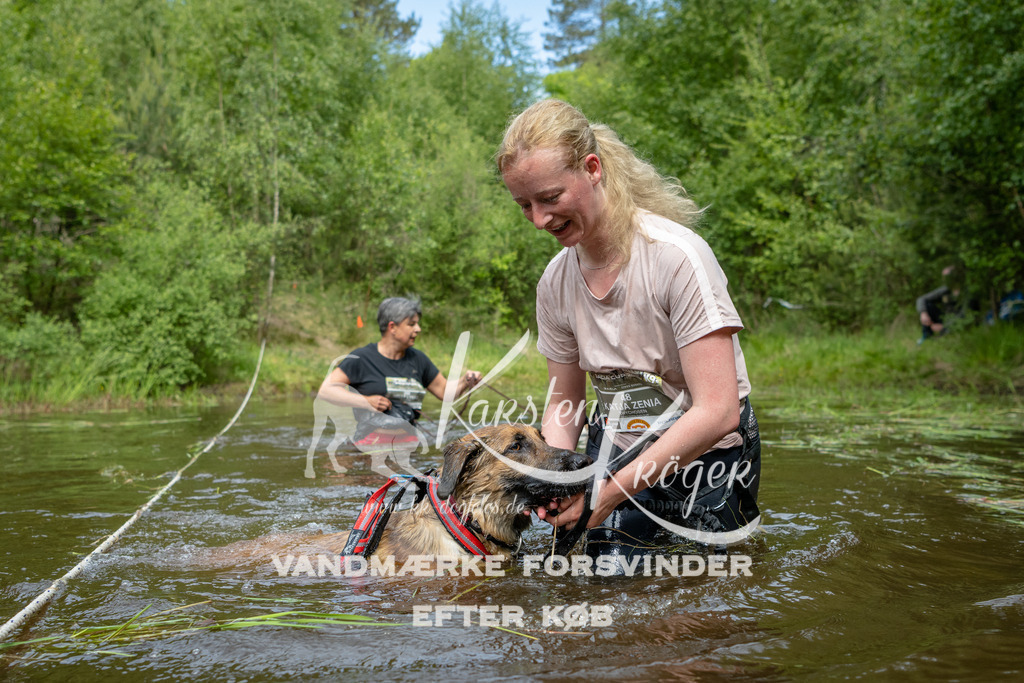 1119DKK994769 | kk-dogfotos