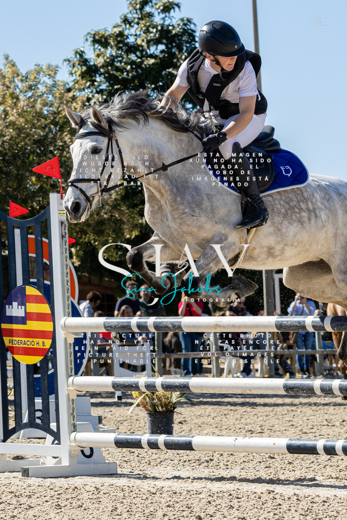 IMG_0961 | s-jay-photography - Realisiert mit Pictrs.com