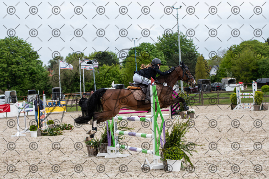 KPT_8970 | andre_photographic