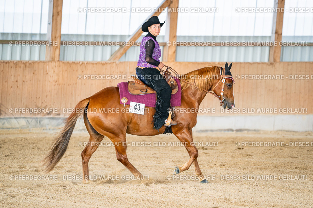 DSC09099 | Pferdegrafie