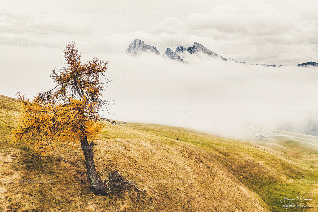 Auf der Seiser Alm  | Auf der Seiser Alm  - Realisiert mit Pictrs.com