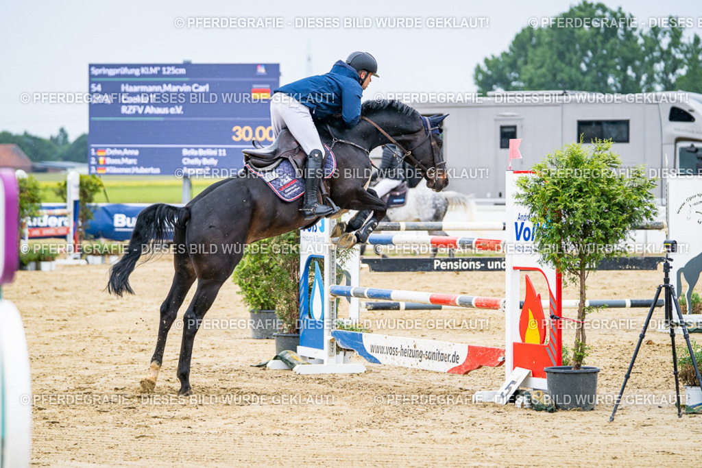 DSC08342 | Pferdegrafie