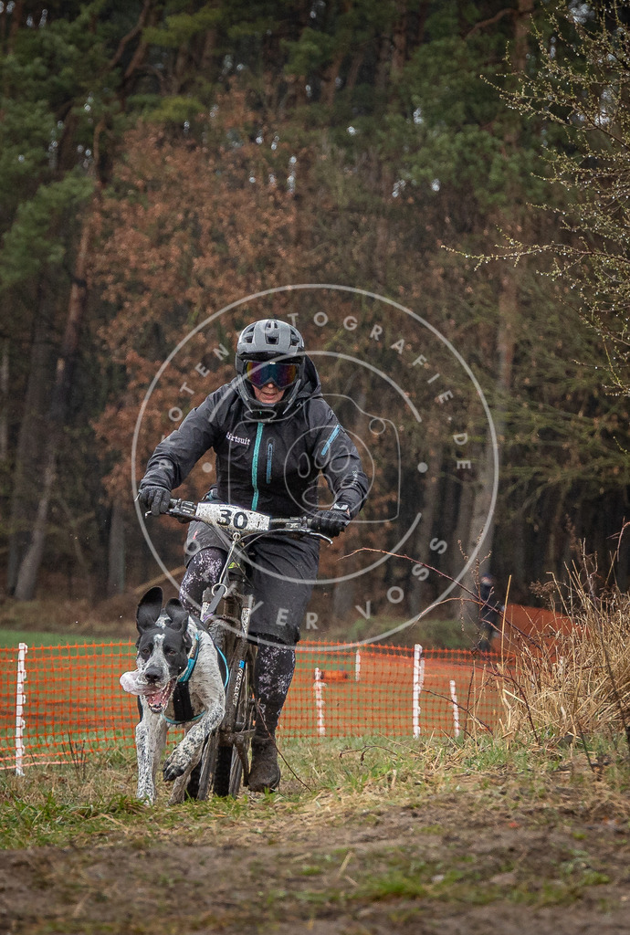 0L8A8922 | Hundefotografie, Tierfotograf, Pfotenfotografie, Fotoshooting Hund, Hunde Portrait, Hundesport, Hundeportraits, Heideshooting, Hunde, Sportfotograf, Hundefotograf, Turnierhundsport, THS,  - Realisiert mit Pictrs.com