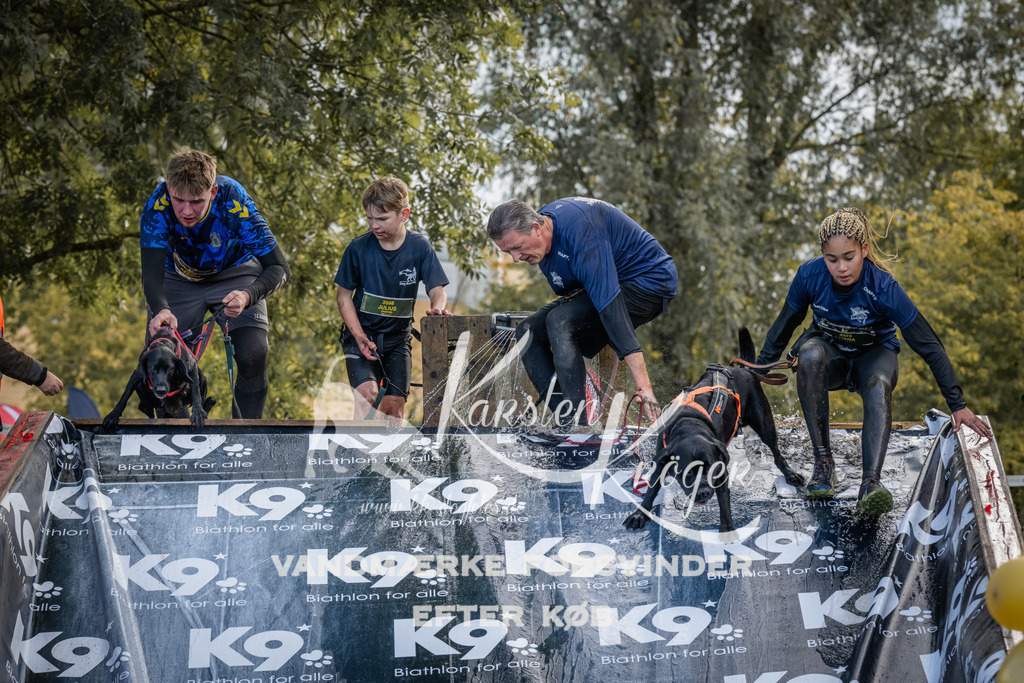 1416_ZZ92739 | kk-dogfotos
