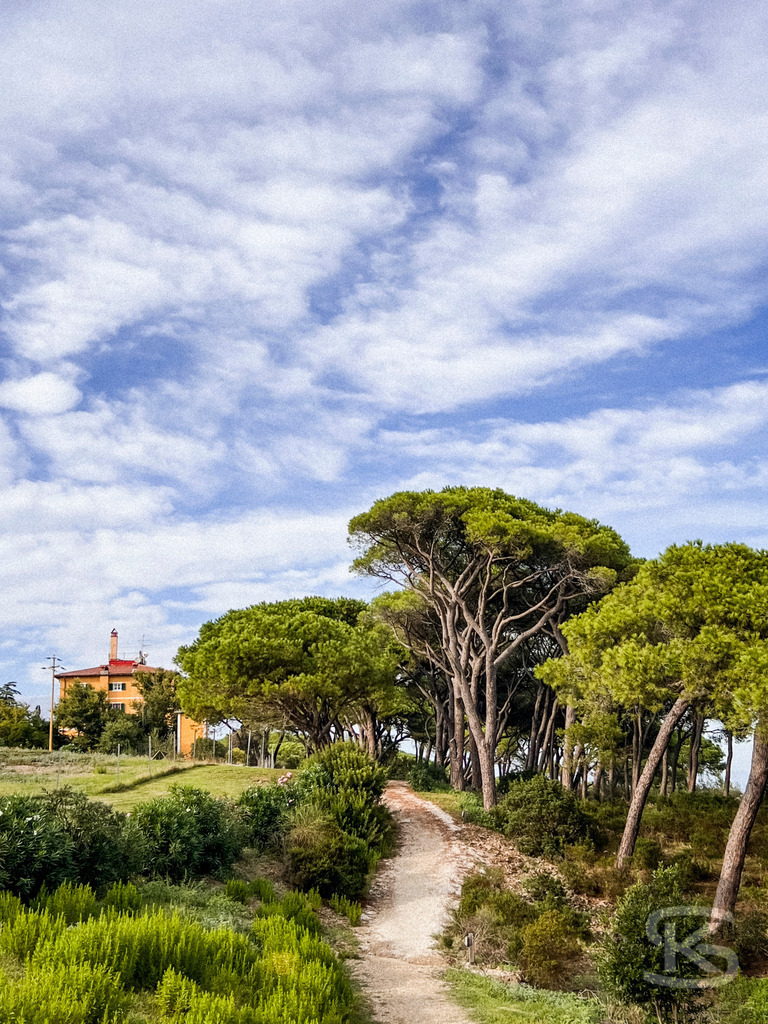 wandbild-elba-tenuta-delle-ripalte-landgut-architektur-pinien | Toskanische Idylle pur: Ein malerischer Pfad führt zum historischen Landgut Tenuta delle Ripalte auf Elba. Dieses vertikale Wandbild mit beeindruckendem Wolkenhimmel bringt mediterranes Flair in Ihre Räume. Jetzt als hochwertiger Kunstdruck konfigurieren! - Realisiert mit Pictrs.com