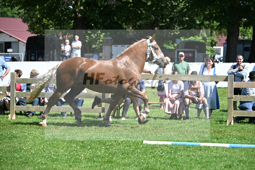 Kat-Nr. 26 Elenora v. Vilstal_Epp_18250473 | hf-fotografie - Realizzato con Pictrs.com