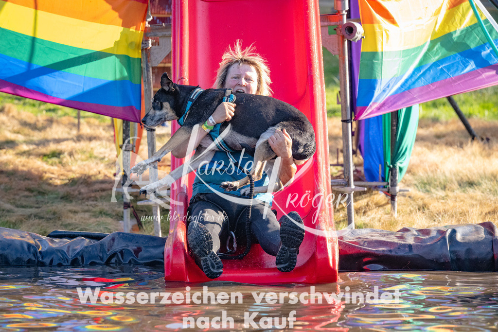 1740_ZZ91542 | kk-dogfotos