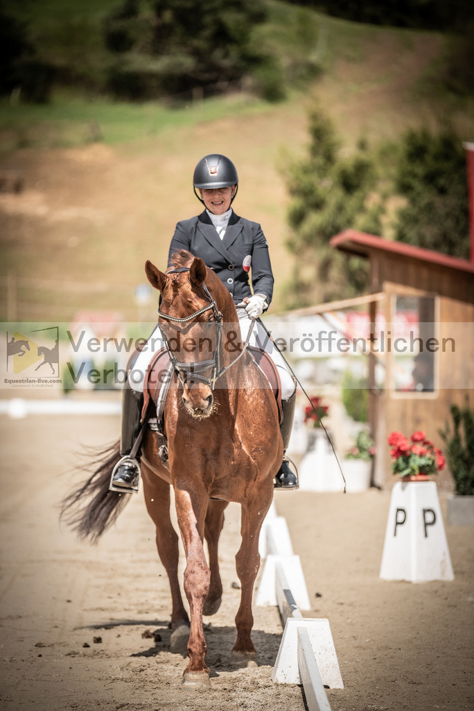 DSC_1536 | equestrian-live-com