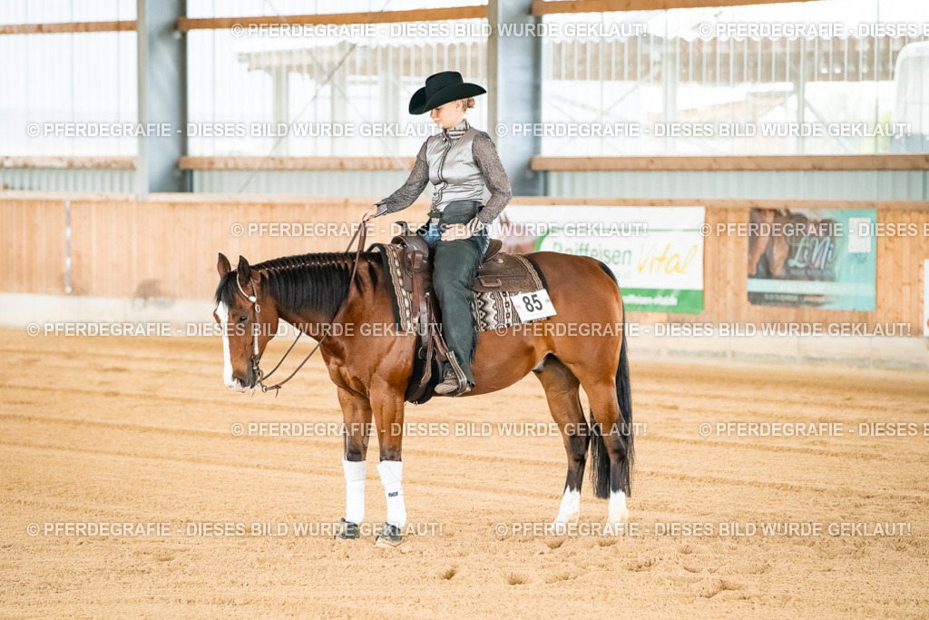 DSC02749 | Pferdegrafie