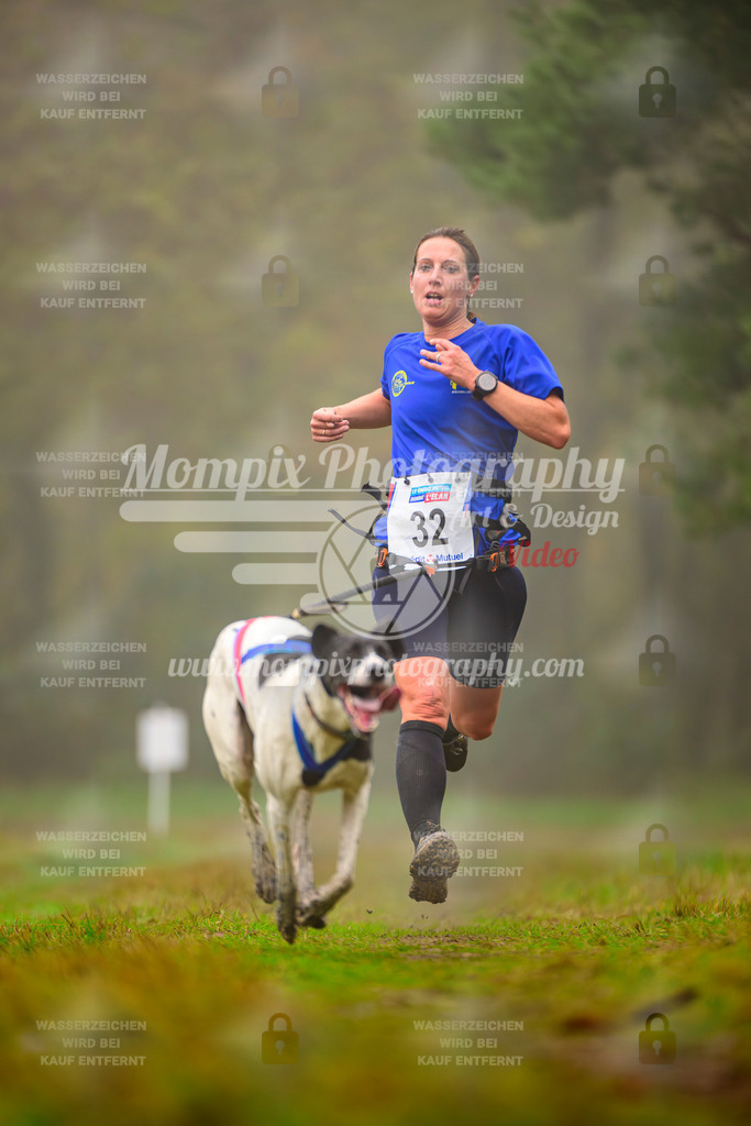 MompixPhotography_Bischwiller2025_Canicross-59 | mompixphotography