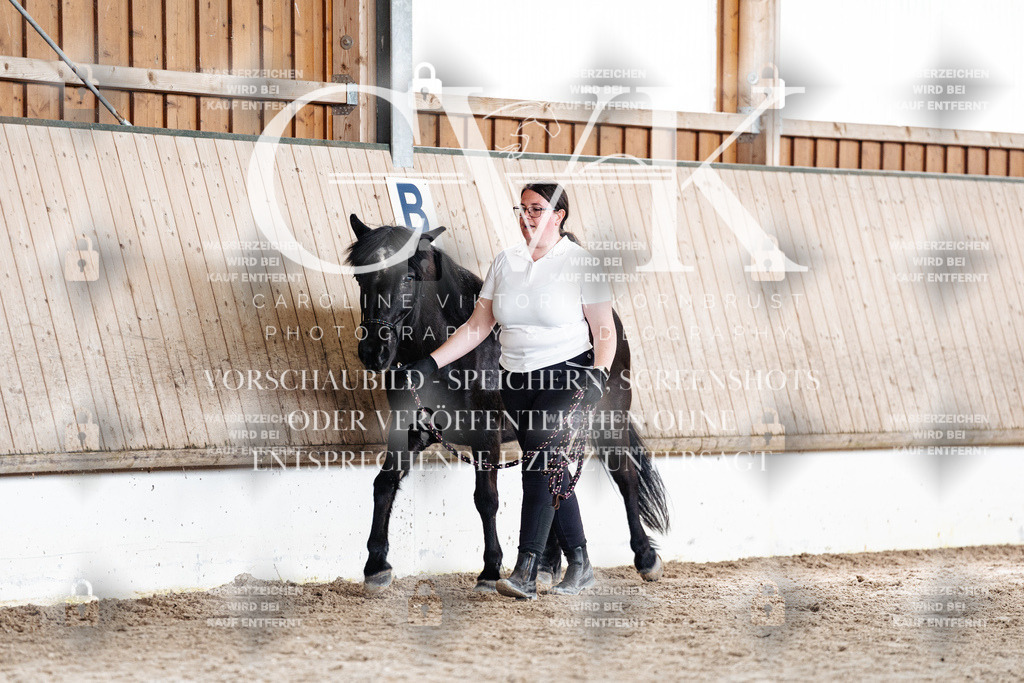 CK907955 | Turnierfotografie Pferdefotografie Trier Rheinland-Pfalz Pferdesport Reitsport Tierfotografie Sportfotografie Pferdevideo Pferdevideografie Equestrianvideography equestrianphotography  - Realisiert mit Pictrs.com