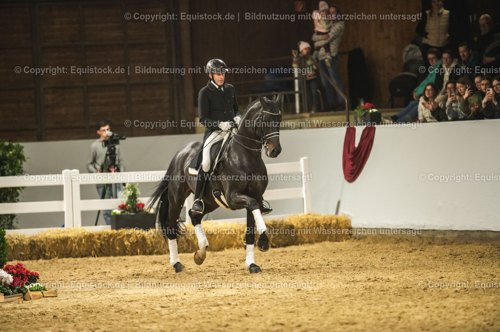 20240302_Hengstvorstellung_Marbach_TOMsPiC_1500 | equistock