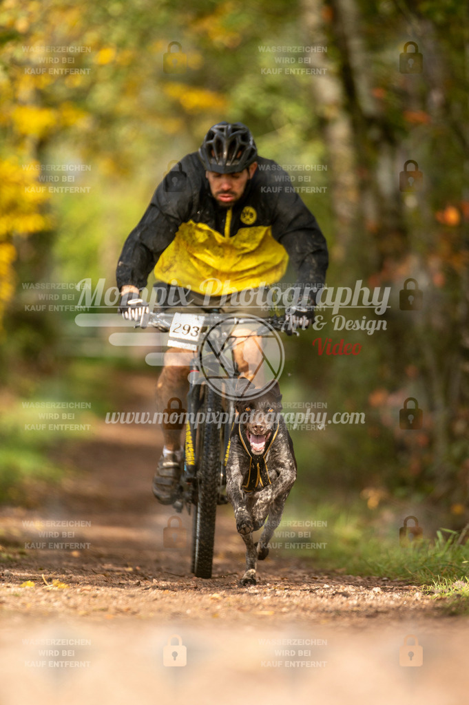 TSB_2023_E4_Bike-58 | PayLife