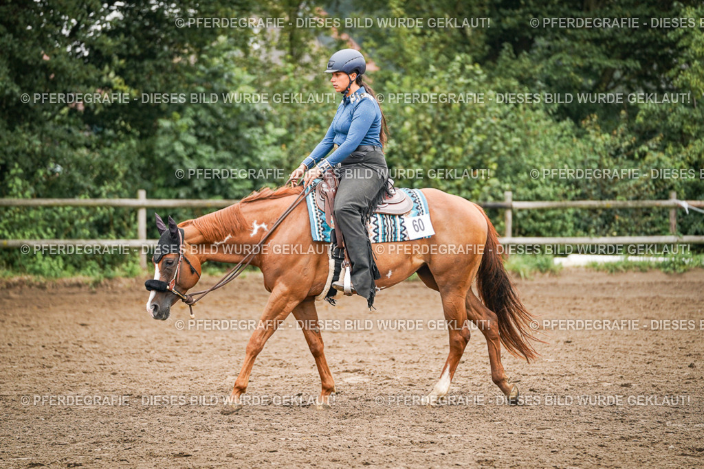 DSC02276 | Pferdegrafie