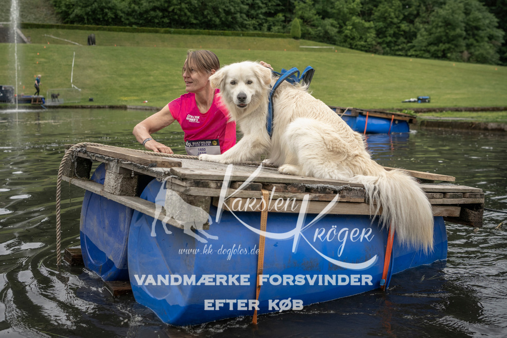 0959_ZZ93275 | kk-dogfotos