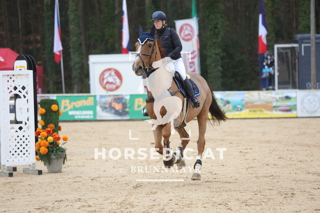 0P6A9826 | Willkommen bei Brunnmayr - Design & Fotografie – Ihrem Spezialisten für Reitturniere und Pferdeveranstaltungen in Oberösterreich, Salzburg und Bayern! Seit über 17 Jahren sind wir leidenschaftlich dabei.