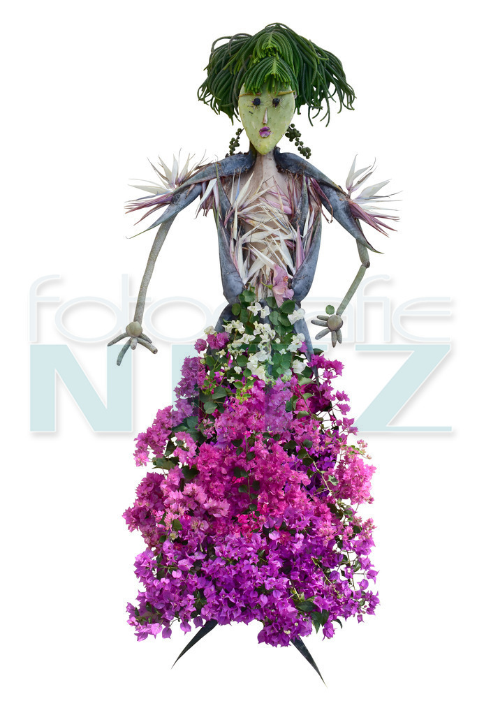 18 | Nitz Fotografie aus Montabaur bietet Ihnen hier die Möglichkeit Bilder auszusuchen und zu bestellen. 