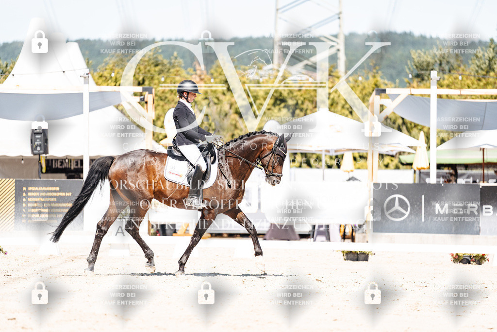 CK909553 | Turnierfotografie Pferdefotografie Trier Rheinland-Pfalz Pferdesport Reitsport Tierfotografie Sportfotografie Pferdevideo Pferdevideografie Equestrianvideography equestrianphotography  - Realisiert mit Pictrs.com