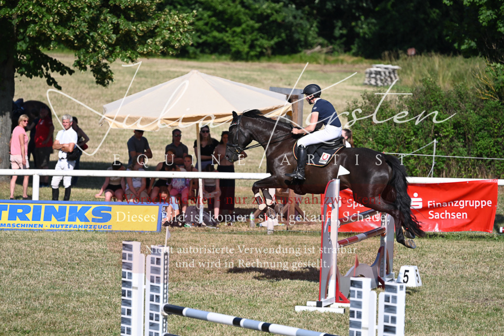 DSC_2542 | Pferde- und Turnierfotografie in Westsachsen. Pferdeportraits, Auftragszeichnungen und intuitive Kunst.