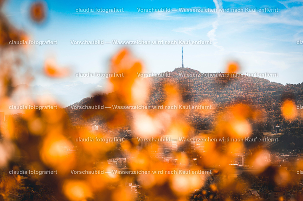 15_20221017_Rebberg_Weiningen__CMI9422.jpg_cmi | 15.10.2022: Inland; Weiningen;
Sicht auf den Uetliberg-Turm von den Rebbergen in Weiningen, Zuerich
(Claudia Minder/claudia-fotografiert)