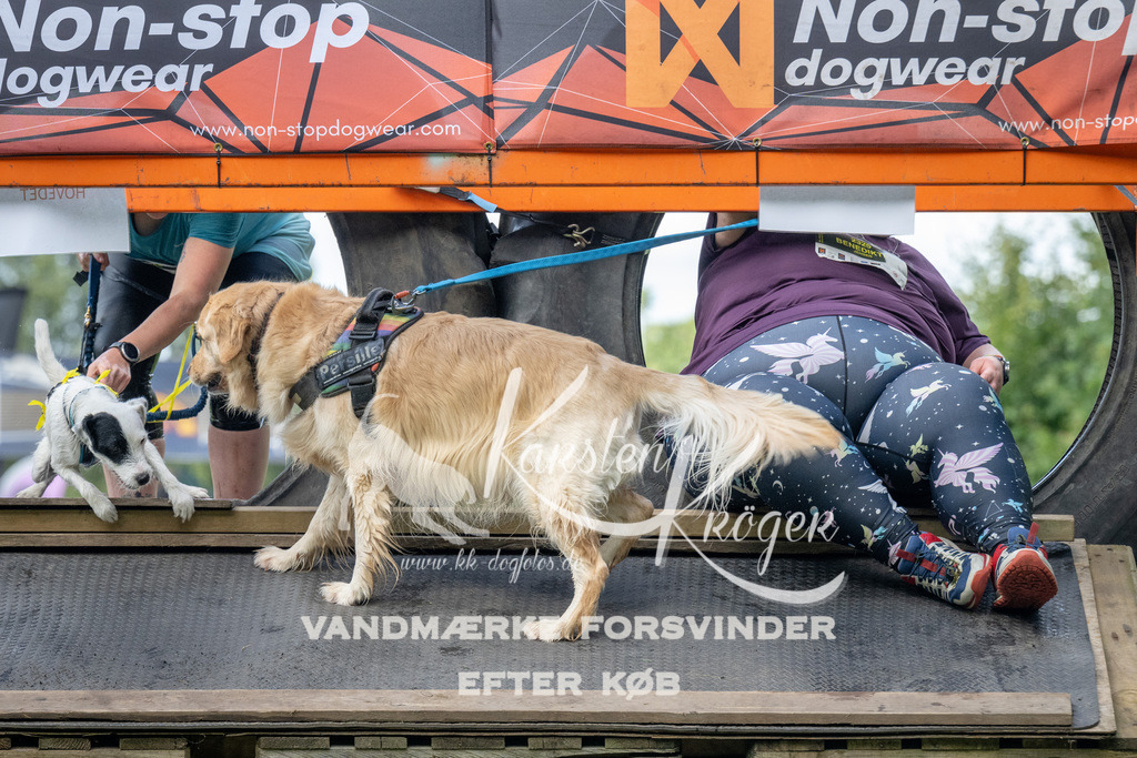1555_ZZ94926 | kk-dogfotos