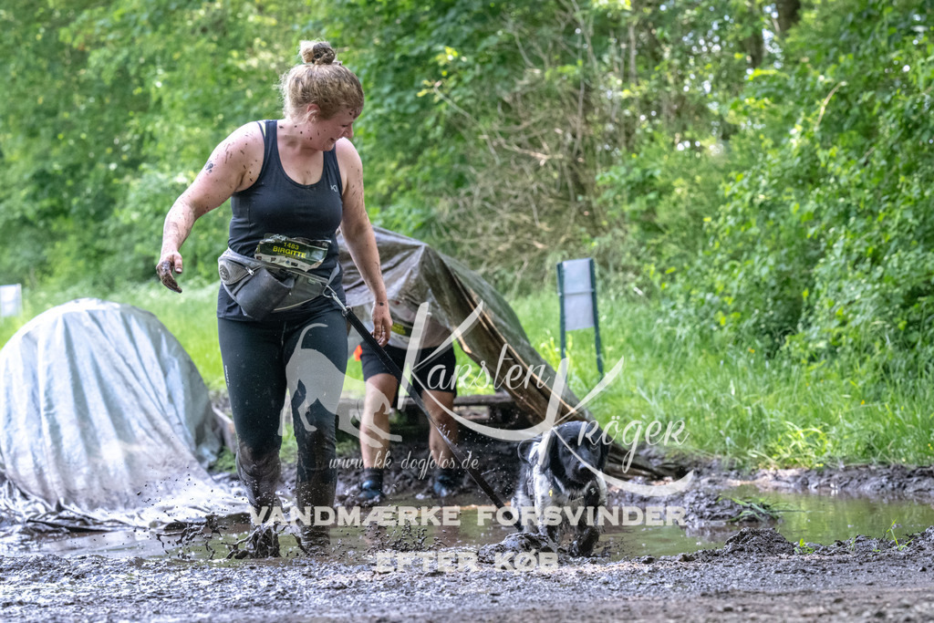 1317_ZZ90751 | kk-dogfotos