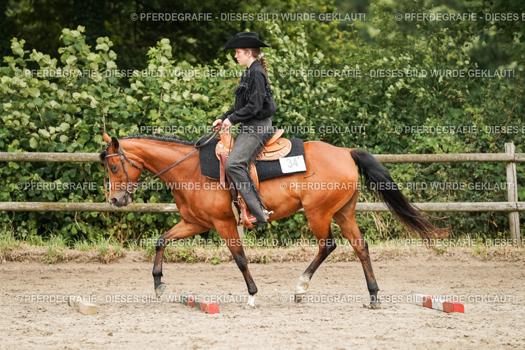 DSC08293 | Pferdegrafie