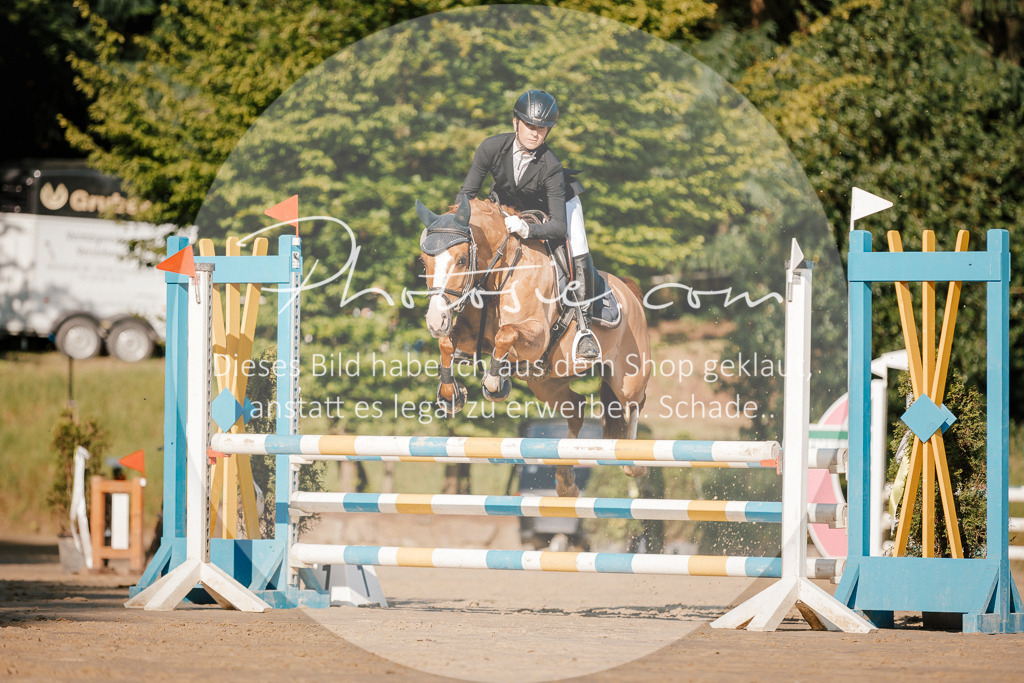 3I6A6208 | Stimmungsvolle Portraits und Reitsportfotografie im Ruhrgebiet und im Münsterland.

Pferdefotografie, Hundefotografie, Tierfotografie, Reportagen, Portraits von Tier und Mensch, Turnierfotografie in Bochum, Recklinghausen, Marl, Haltern am See, Dülmen.. - Realisiert mit Pictrs.com