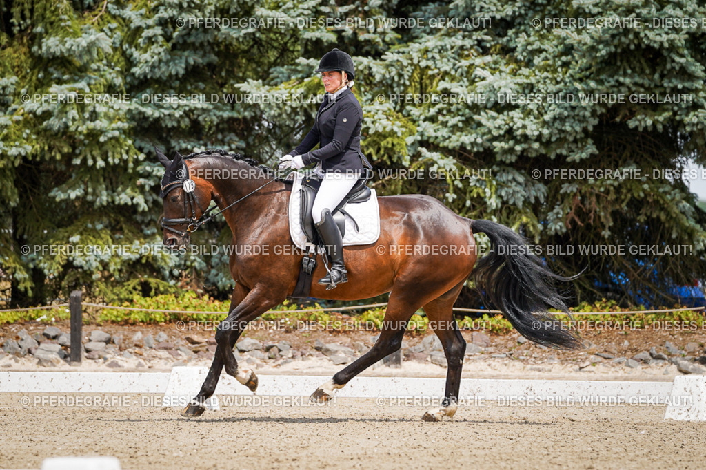 DSC02069 | Pferdegrafie