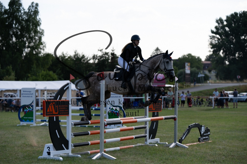 A7V00777 | Pferdefotograf