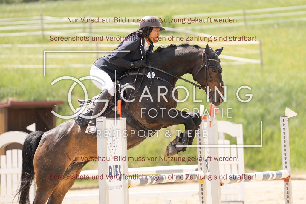 DSC06576 | Springturnier_Ehingen_Mai_2026, shanice_mae_lankford, caeley_la_comtesse