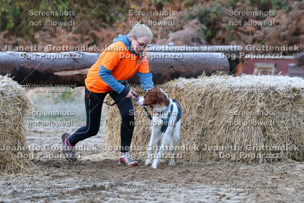 Dog Paparazzi - Strongdog 10-25-312 | Dog Paparazzi Jeanette Grottendiek Fotografie & Videografie