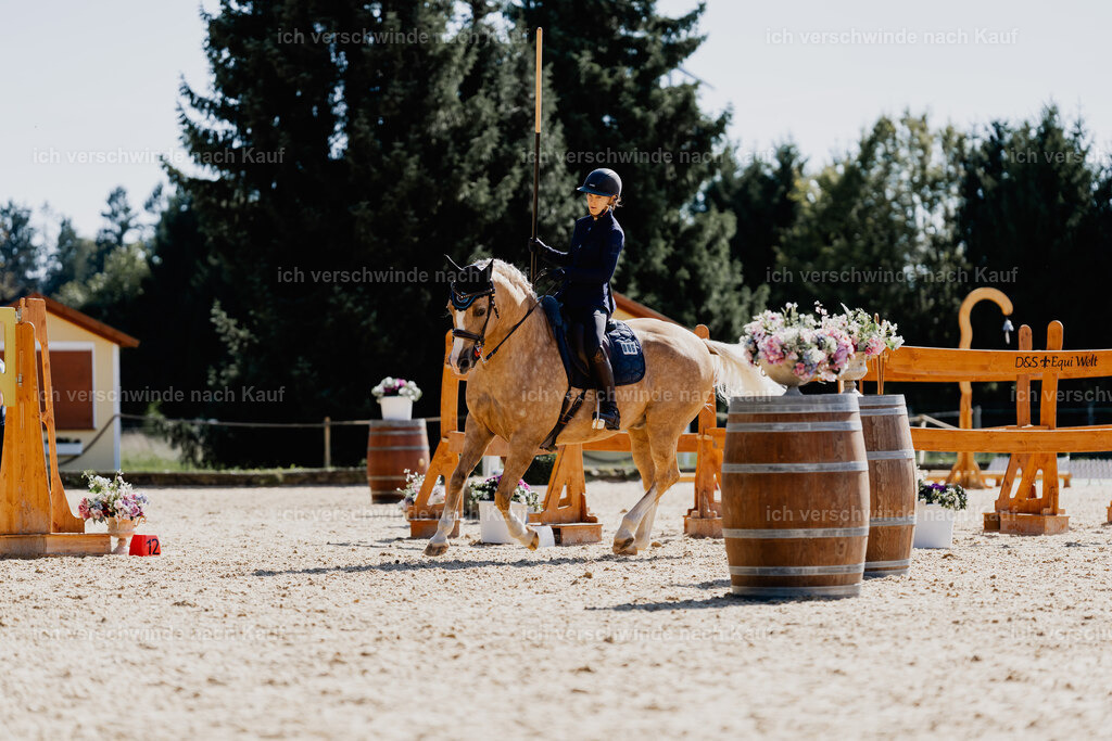 Nici11_FHC2025-09078 | working equitationturnier fotograf videograf stoibphotography marixx film working equitation deutschland reitsport turnierfotografie eventfotografie equestrian events
