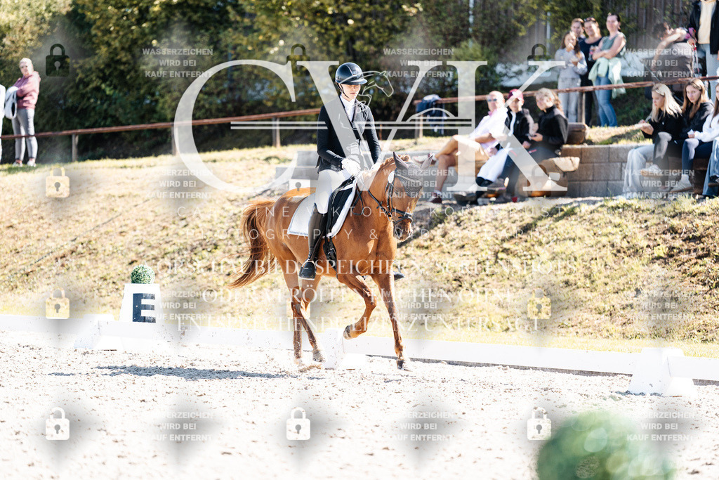 CK903610 | Turnierfotografie Pferdefotografie Trier Rheinland-Pfalz Pferdesport Reitsport Tierfotografie Sportfotografie Pferdevideo Pferdevideografie Equestrianvideography equestrianphotography  - Realisiert mit Pictrs.com