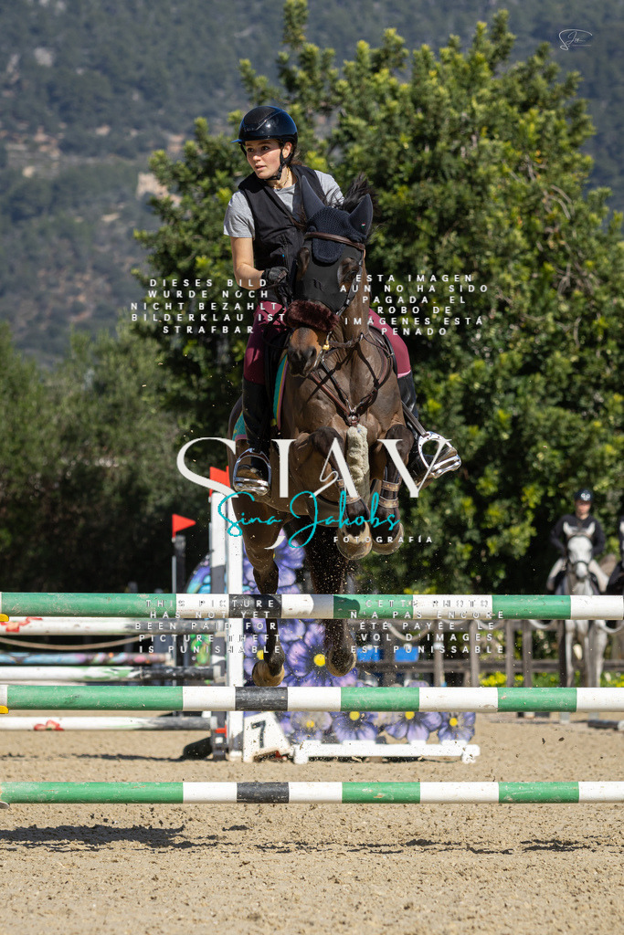 IMG_6574 | s-jay-photography - Realisiert mit Pictrs.com