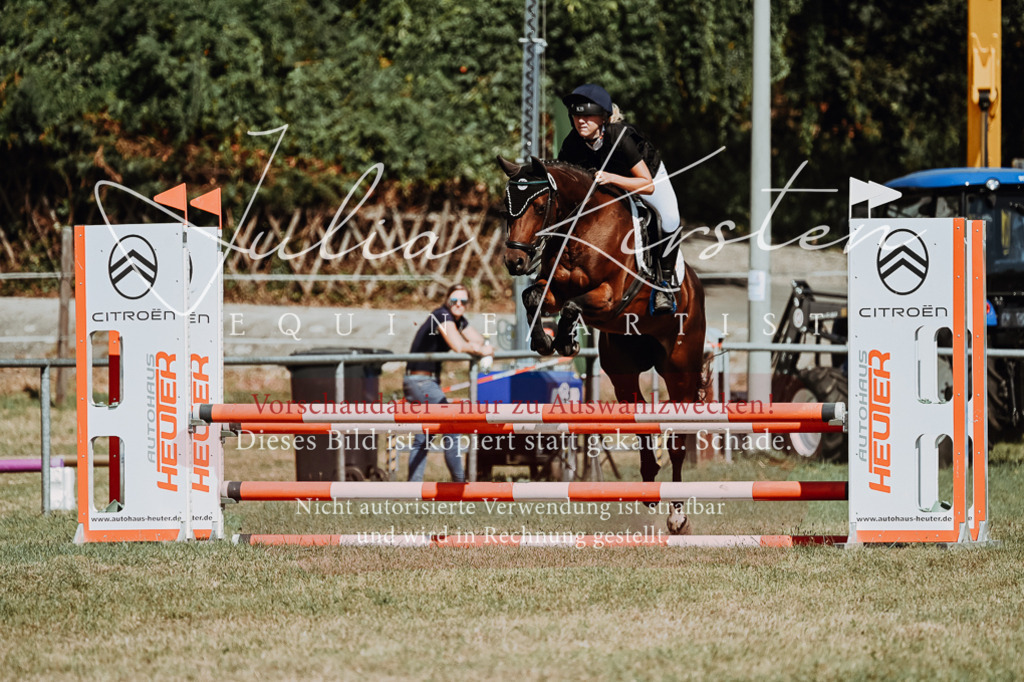 DSC_9911 | Pferde- und Turnierfotografie in Westsachsen. Pferdeportraits, Auftragszeichnungen und intuitive Kunst.