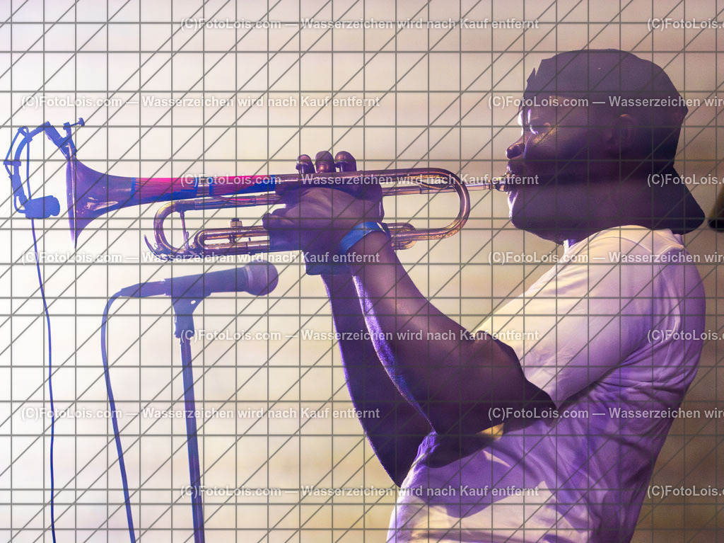 ALP1721_Hiesige-Dosige_Kulturpark | Festival HIESIGE 6 DOSIGE am 8. August 2025