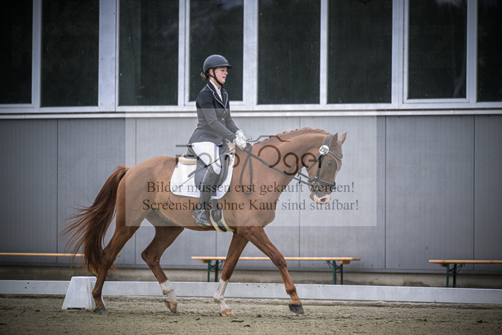 DOS_0181 | Entdecke hochwertige Reitturnierfotos von Foto Oger. Professionell, emotional und authentisch – jetzt Lieblingsmomente im Shop bestellen.Deutschlandweite Turnierfotografie. - Realisiert mit Pictrs.com