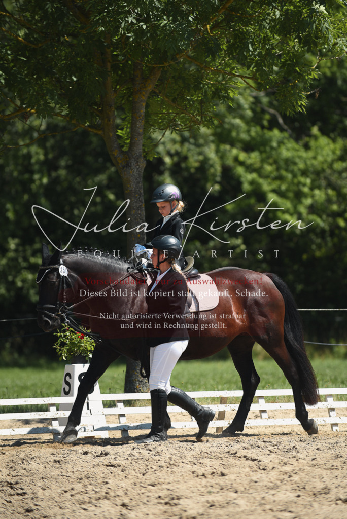 DSC_1750 | Pferde- und Turnierfotografie in Westsachsen. Pferdeportraits, Auftragszeichnungen und intuitive Kunst.