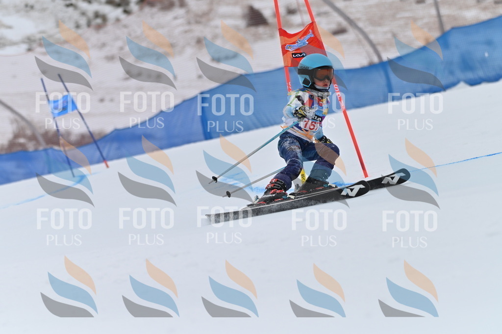 BGV_0441 | holidayphoto