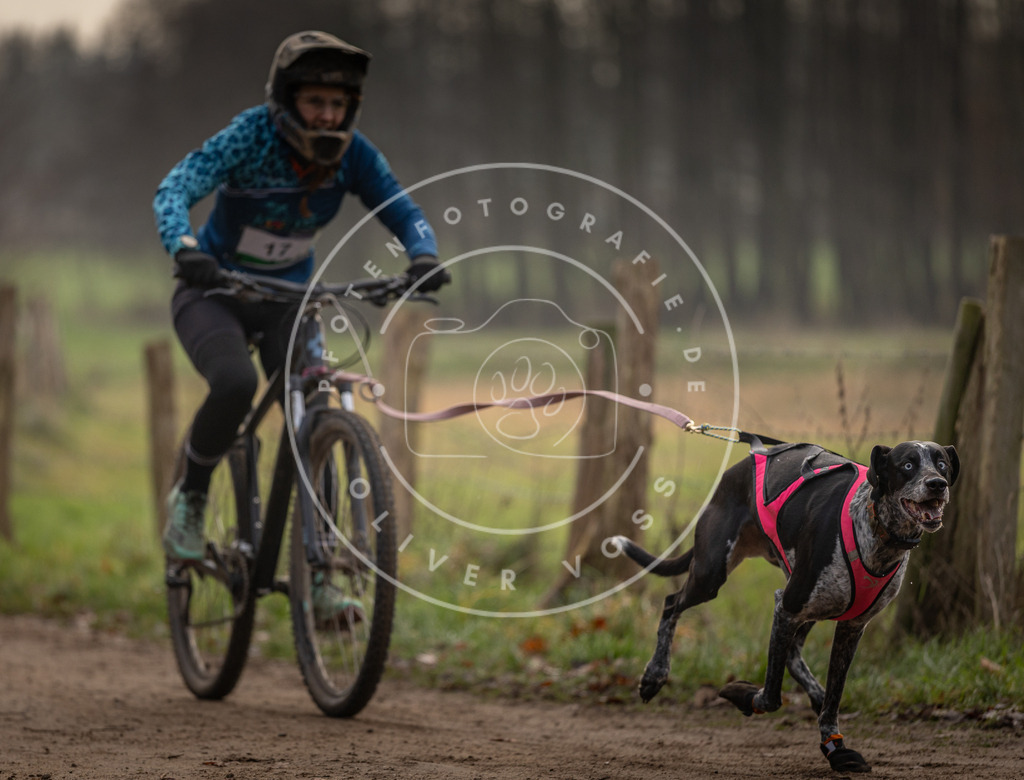 Pfotenfotografie_DV3A1905 | Hundefotografie, Tierfotograf, Pfotenfotografie, Fotoshooting Hund, Hunde Portrait, Hundesport, Hundeportraits, Heideshooting, Hunde, Sportfotograf, Hundefotograf, Turnierhundsport, THS,  - Realisiert mit Pictrs.com